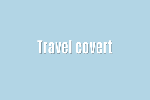 Ultimate: Travel covert &mdash; Essential