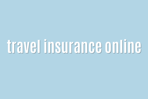 Ultimate: travel insurance online &mdash; Success