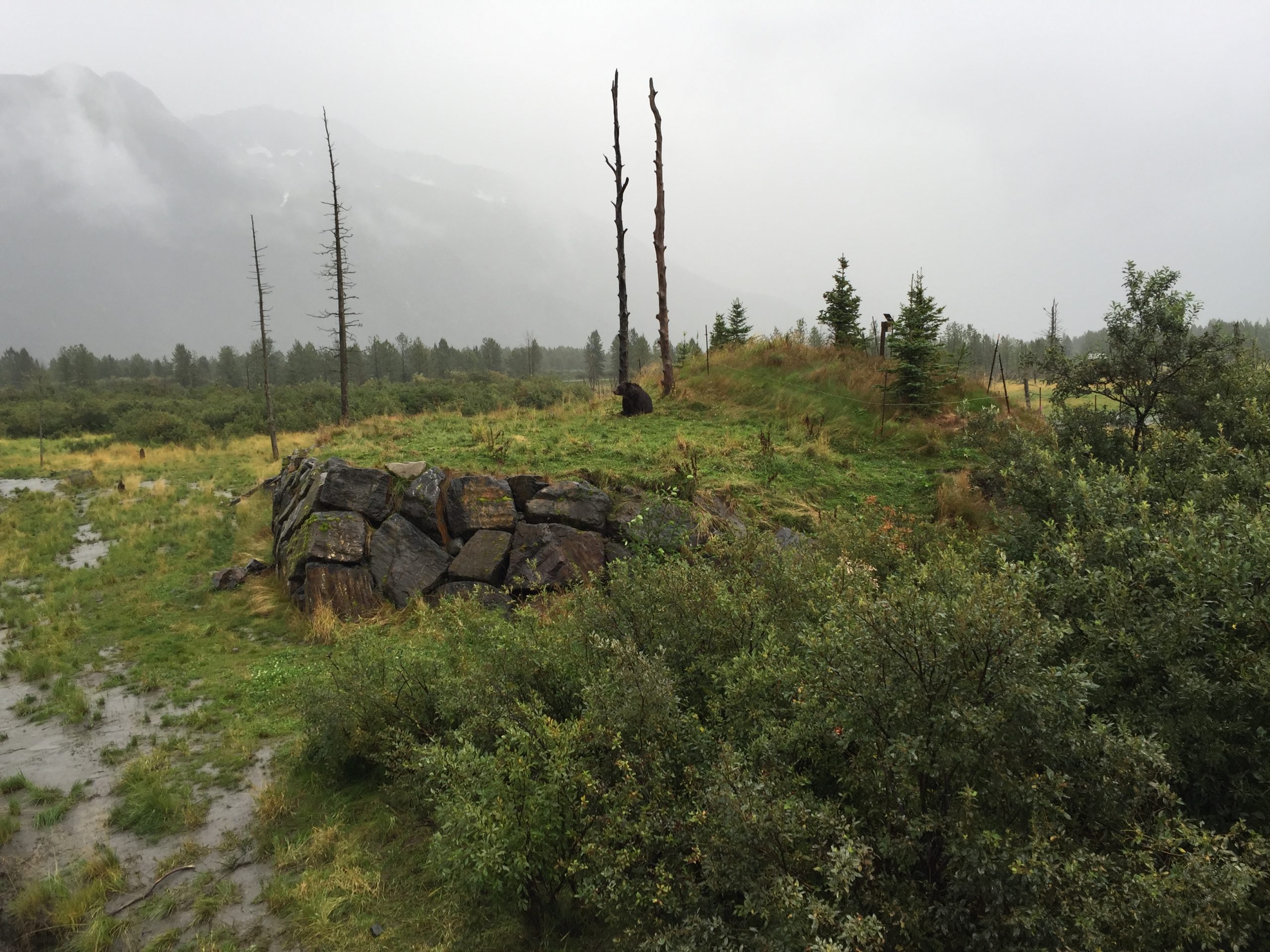 Alaska travel insurance