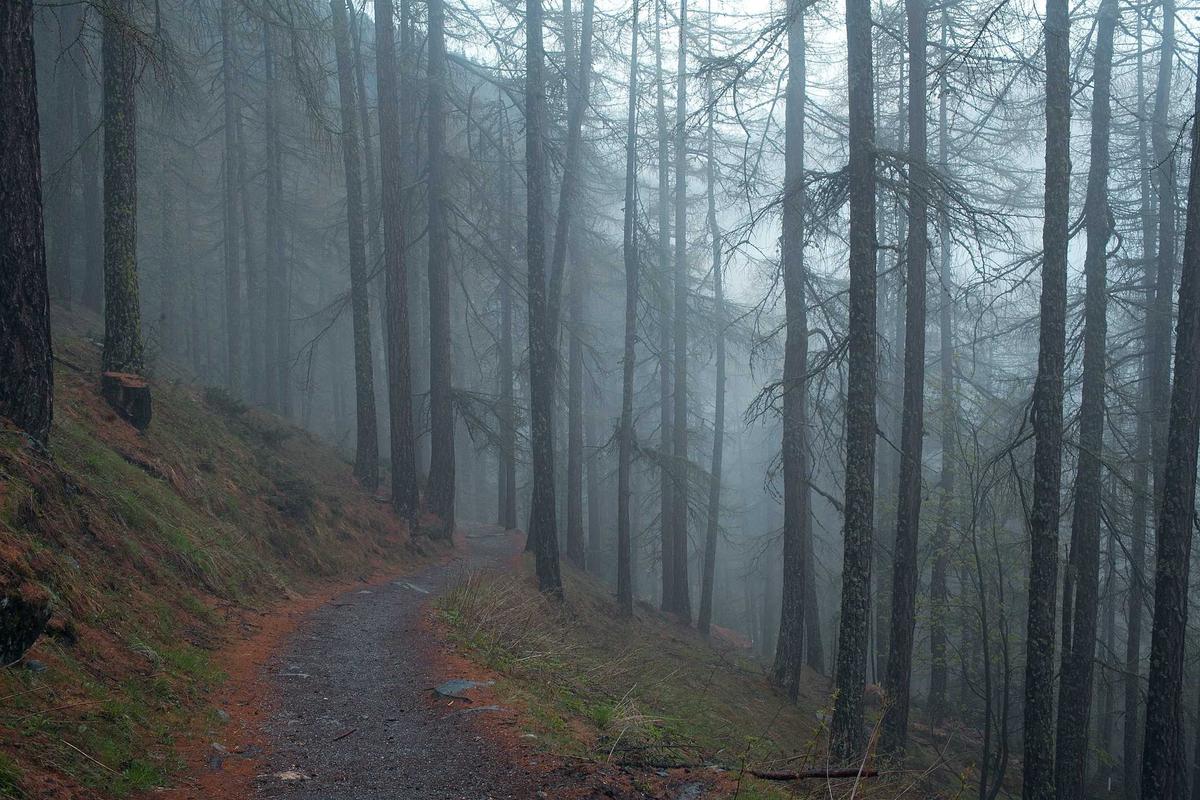 checking UK Holiday Travel Insurance before a winter trip