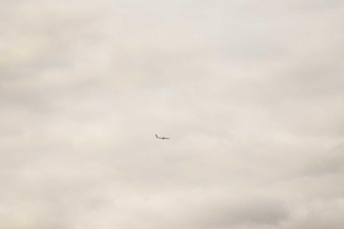 Insurance documents for a Professional Travel Insurance Company review