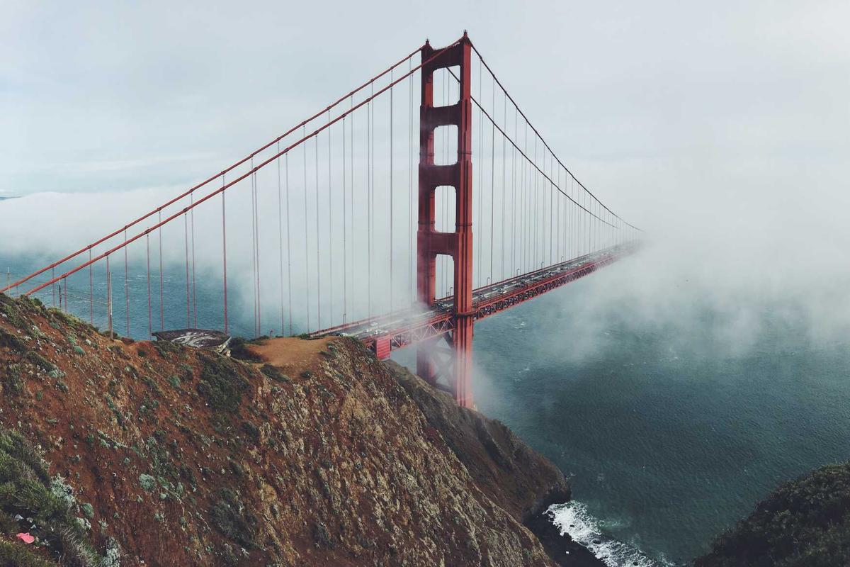 Insurance policy for a Professional Travel Insurance Company review