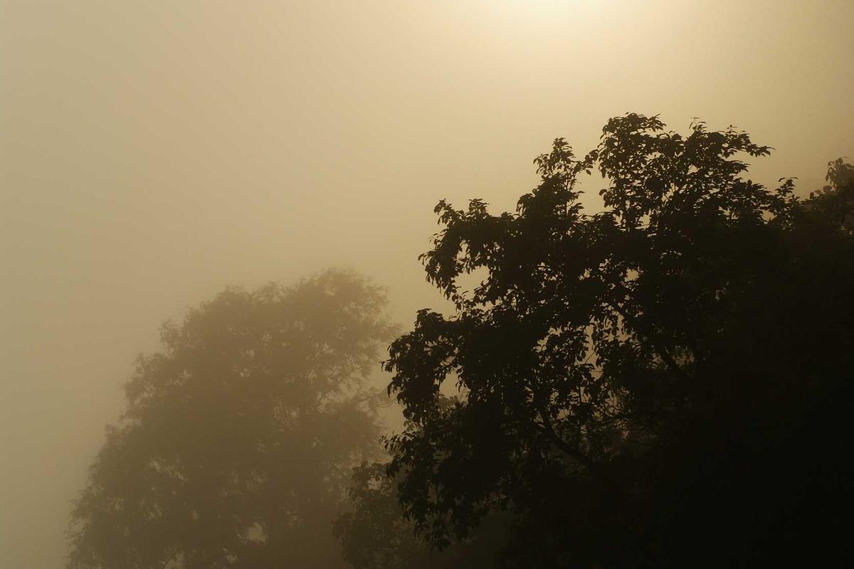 Executive Jet Travel itinerary through a misty landscape
