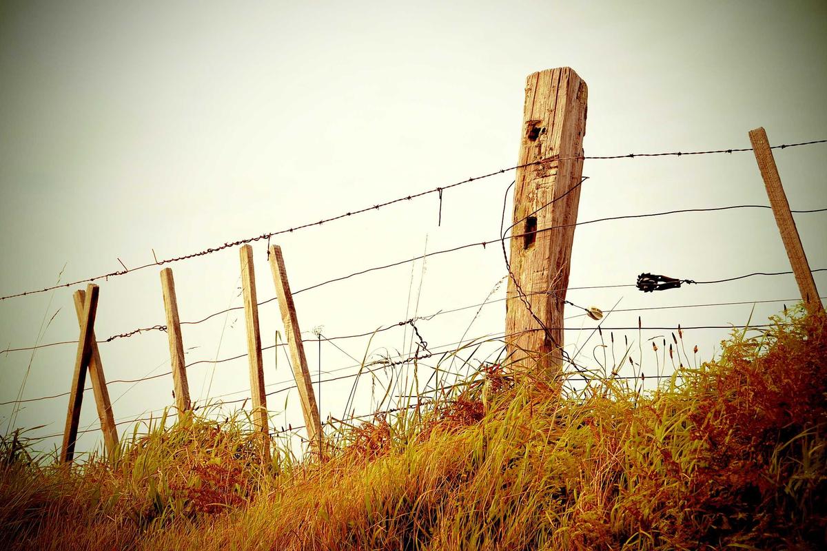 Travel insurance for South Africans